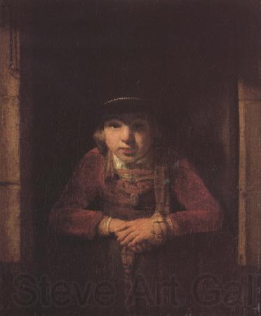 Samuel van hoogstraten A Young Man wearing a Hat decorated with Pearls and a gold Medallion in a Half-Door (mk33) Spain oil painting art